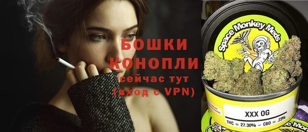 эйфоретик Арсеньев