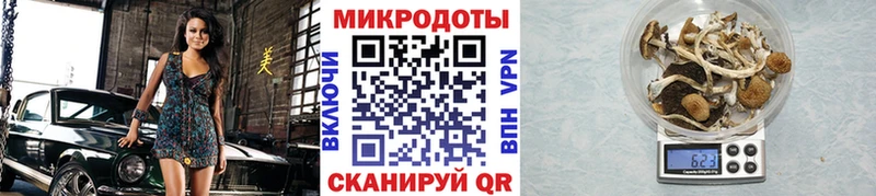 Галлюциногенные грибы прущие грибы  Купить закладки  Тверь 
